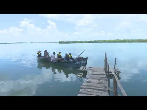 Posee más de 60 mil hectáreas terrestres y marinas el ecosistema Delta del Cauto.