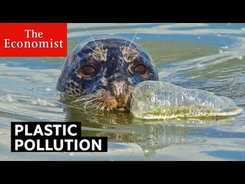 塑膠汙染：真的那麼嚴重嗎？| 經濟學家》雜誌 (Plastic pollution: is it really that bad? | The Economist)