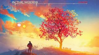 Soundmotion Studios - In the Woods