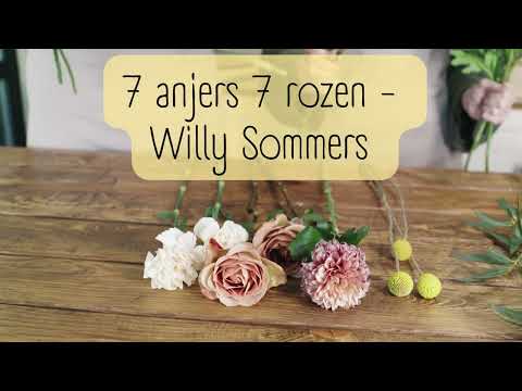 7 Anjers 7 rozen