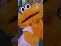 A Special Message To A Few Of My Furry Friends Sesameplace Zoe Julia Cookiemonster Gonger