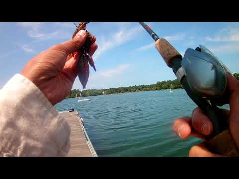 Clear water bass fishing at Jamaica Pond, MA
