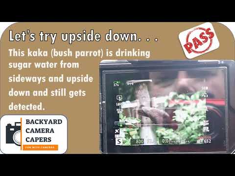 Bird Tracking with the Olympus M1x