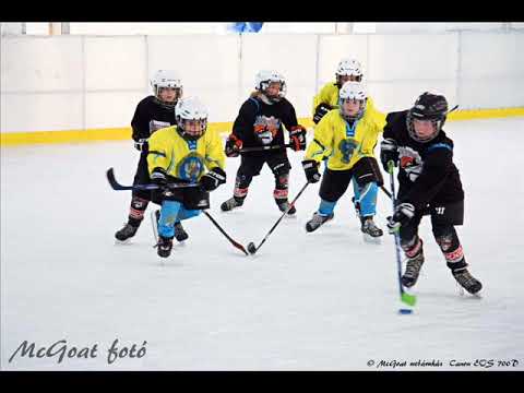 Ajkai Óriások első szezonja, 2015-16.