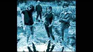 The Dream Syndicate - That's What You Always Say 1982