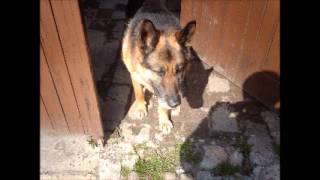 Maminka a Zuzanka a spol + má hudební dílka