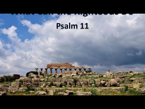 20200607 AM - Psalm 11 - What Can the Righteous Do