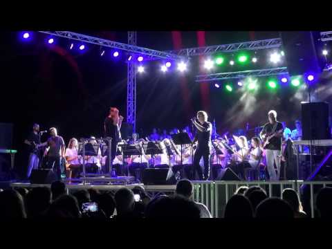 the wall - Ιn the flesh