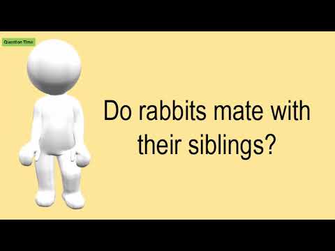 YouTube video about: Can sibling rabbits breed?
