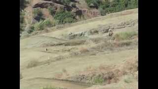 preview picture of video '65cc motocross'
