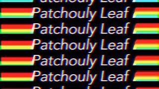 patchouly leaf