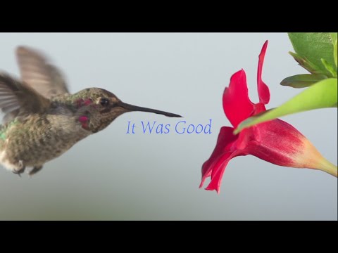 It Was Good Music Video by Aryn Michelle