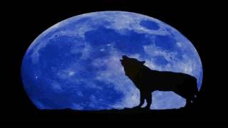 Frank Boeijen - Wolven in de nacht (lyrics)