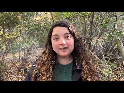 Un éxito fue la primera excursión de Fungiturismo 2025 en Empedrado