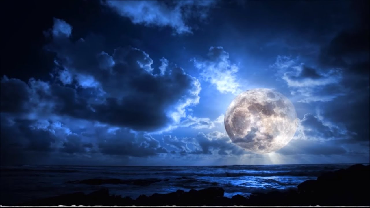 Цифровой фотоаппарат Nikon Coolpix P900