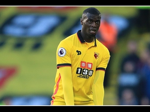 M'Baye Niang vs Burnley (Home Debut) 16-17 (04/02/2017)