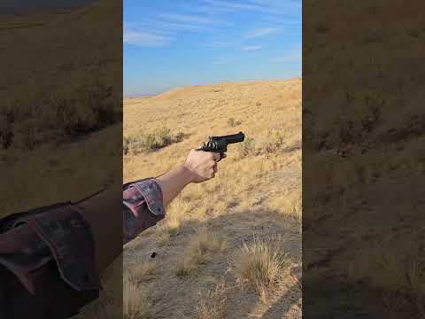 Ruger GP100 357 Magnum First Shots \u0026 Impressions