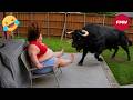 Try Not To Laugh Challenge 99 Will Fail Funny Videos Compilation 2026 207