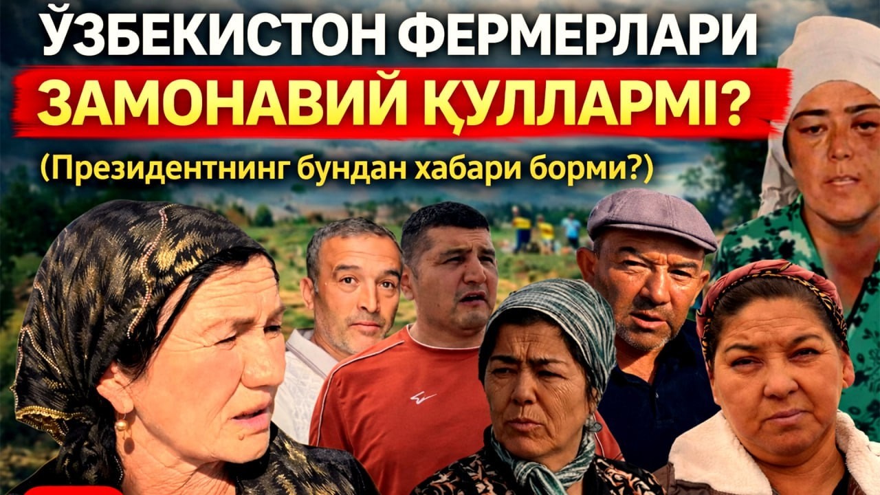 Негатив 623: Калтакланган, пешонасига тўппонча тиралган ўзбек фермерлари ҳал?