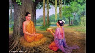 Cuộc Đời Đức Phật Thích Ca Mâu Ni (Phần 2) - Audio Phật Bồ Đề