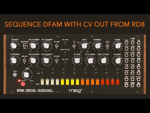 DFAM sequenced with trigger out of RD8 drum machine