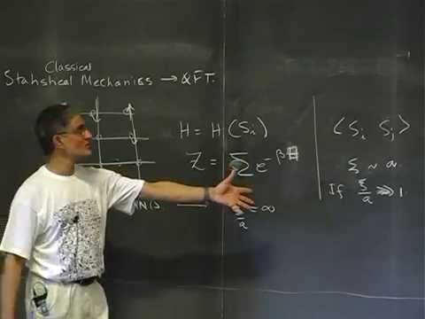 Sumit Das - Introduction to statistical field theory (1)