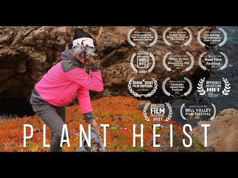 Plant Heist