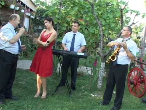 Classic Galati   Dragostea furata cover Ion Paladi si Adriana Ochisanu