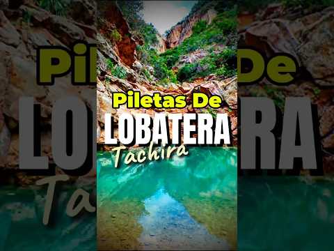 El secreto que Táchira guardó por años... 🤫🇻🇪 #táchira