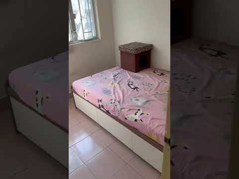 隆基大楼 Youtube Video