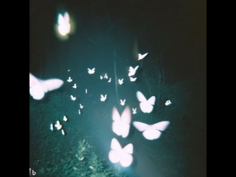 [FREE] 1000+ LOVEMUSIC + REDDA + AMBIENT SOUND KIT "LVMSC" (DRUM KIT, PRESETS, ONE SHOT KIT+++)