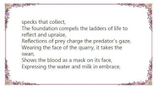 Fucked Up - Royal Swan Lyrics