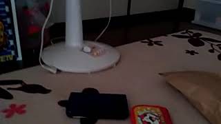 初めての動画