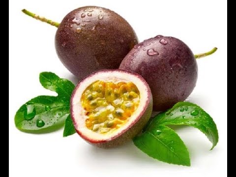 , title : 'فاكهة بس فلورا او مس فلورا passiflora و فوائدها الصحية العديدة ( شجرة الكوكتيل )'