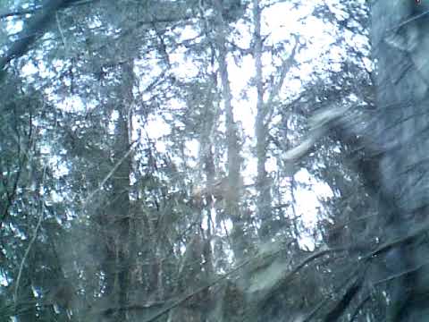 Au joly bois 1st voice