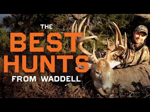 Over 1 HOUR of the BEST Hunts from Michael Waddell | Whitetail and Mule Deer Hunts from Monster Buck