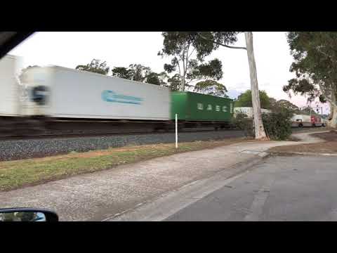 4AM5 leads NR18 and AN11 at Werribee