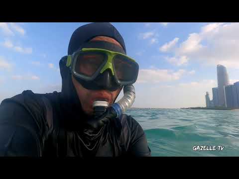 Abu Dhabi White Beach Gate 4 | UAE