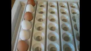 preview picture of video 'Egg Incubator'