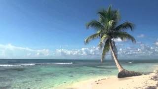 Hula Girl at Heart - Jimmy Buffett