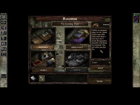 Solo HoF Insane Dragon Disciple Semi blind - Icewind Dale EE - part 12 Starting chapter 3