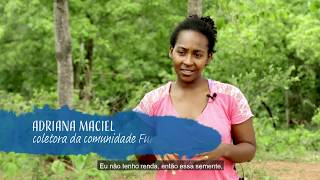 Miniatura do vídeo