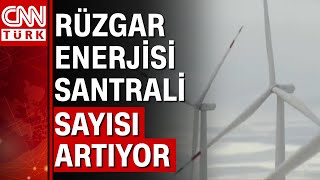 Türkiye'de elektriğin yüzde 10'u rüzgarla sağlanıyor