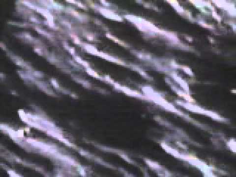 UFO CADE SULLA LUNA ovnis   vido   nasa un ovni survole la lune pendant la mission apollo 12   13s