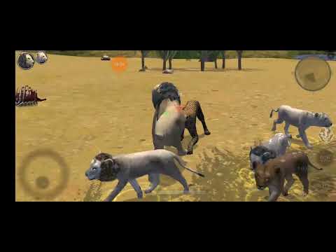 Grown cubs....at a heavy cost.|ultimate lion simulator 2|the galaxy pride|ep 6 - YouTube