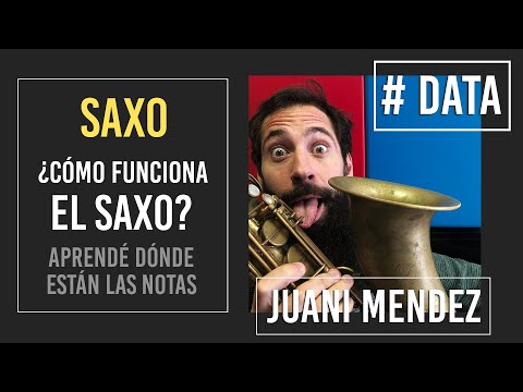 Juani Mendez video Como funciona un saxo - # DATA