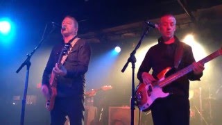 Camper Van Beethoven  Tania live