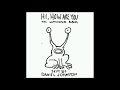 Daniel Johnston - I'll Never Marry