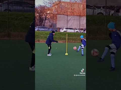 Video sličica