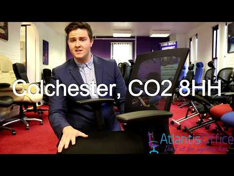 Gosport Mesh Ergonomic Office Chair with Headrest